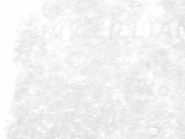 Richard WOOD,  | died 14 June 1887 aged 35 years;  | Amy Lillian WOOD,  | daughter  | died 4 Nov 1889 aged 2 years;  | Swan Creek Anglican cemetery, Warwick Shire  | 