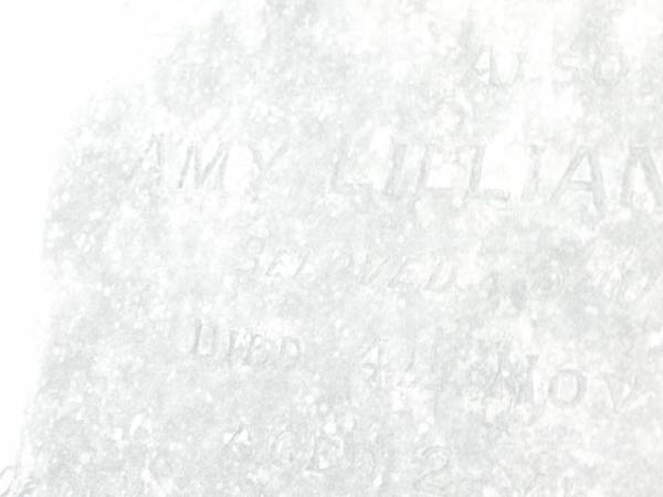 Richard WOOD,  | died 14 June 1887 aged 35 years;  | Amy Lillian WOOD,  | daughter  | died 4 Nov 1889 aged 2 years;  | Swan Creek Anglican cemetery, Warwick Shire  | 