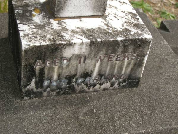 Richard Edward DOLAN,  | son brother,  | died 8-8-1965 aged 3 1/2 years;  | John Patrick DOLAN,  | aged 11 weeks;  | Tallebudgera Catholic cemetery, City of Gold Coast  | 