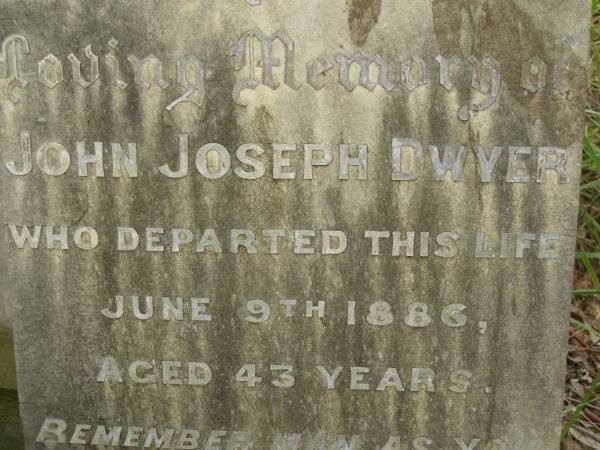 John Joseph DWYER,  | died 9 June 1886 aged 43 years;  | Annie & Edward,  | died in infancy;  | Edward St John DWYER,  | died 19 March 1912 aged 31 years 11 months;  | Maria DWYER,  | born Co Meath Ireland 1844,  | died 10 Aug 1926 aged 82 years;  | Tallebudgera Catholic cemetery, City of Gold Coast  | 