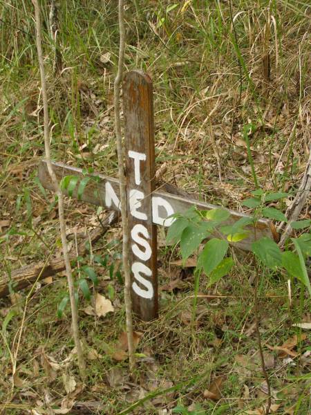 Ned TESS;  | Tallebudgera Catholic cemetery, City of Gold Coast  | 