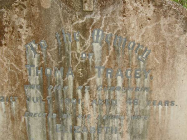 Thomas TRACEY,  | died Currumbin 21 July 1901 aged 46 years,  | erected by wife Elizabeth;  | Elizabeth Agnes TRACEY,  | wife,  | died 1 April 1939 aged 77 years;  | Tallebudgera Catholic cemetery, City of Gold Coast  | 