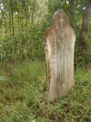 Thomas TRACEY,
died Currumbin 21 July 1901 aged 46 years,
erected by wife Elizabeth;
Elizabeth Agnes TRACEY,
wife,
died 1 April 1939 aged 77 years;
Tallebudgera Catholic cemetery, City of Gold Coast