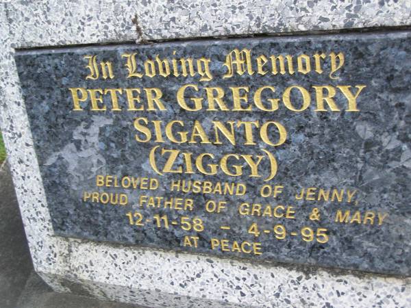 Peter Gregory (Ziggy) SIGANTO,  | husband of Jenny,  | father of Grace & Mary,  | 12-11-58 - 4-9-95;  | Tallebudgera Presbyterian cemetery, City of Gold Coast  | 