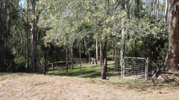 Tamborine Plunkett Road Cemetery (Cedar Creek)  | 