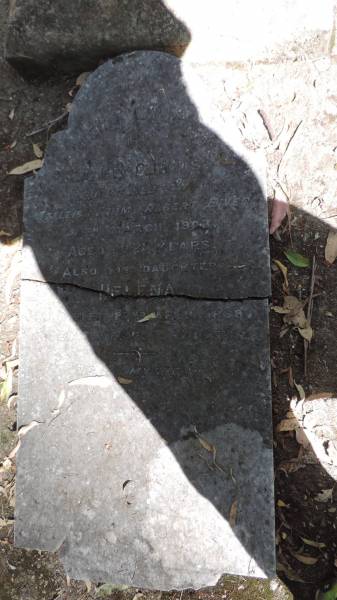 Caleb CURTIS  | d 20 Mar 1908, aged 82  | at Leigh farm, Albert River  | (daughter) Helena CURTIS  | d: 22 Apr 1868 aged 8yrs 9months  | Tamborine Plunkett Road Cemetery (Cedar Creek)  |   | 