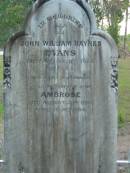 John William Haynes EVANS
2 Aug 1888
aged 45
infant son Ambrose
23 Aug 1880
aged 10 months
Tamborine Catholic Cemetery, Beaudesert