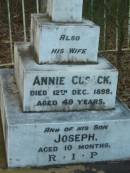 ?
wife
Annie CUSACK
12 Dec 1898
aged 49
son Joseph
aged 10 months
Tamborine Catholic Cemetery, Beaudesert