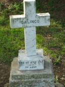 Salingo
d: 4 Jul 1913
Tamrookum All Saints church cemetery, Beaudesert