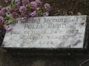 Irene Agnes (SELLARS)
d: 14 Jun 1924, aged 10 years and 8 months
(daughter of) H.H. and M.I. SELLARS
Polly RUDD
24 Oct 1967, aged 83
Tamrookum All Saints church cemetery, Beaudesert