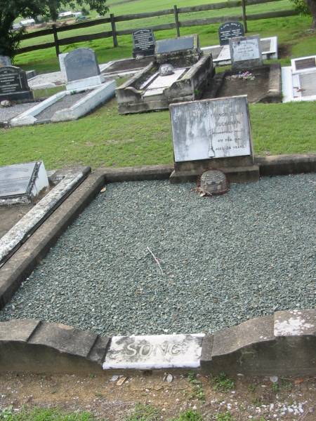 SONG  |   | Francis Edwin BUCHANAN  | (accidentally killed) 6 Feb 1941, aged 24  |   | Tamrookum All Saints church cemetery, Beaudesert  | 
