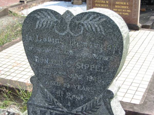 Donald C SIPPEL  | 22 June 1946 aged 19  | Tarampa Baptist Cemetery, Esk Shire  | 