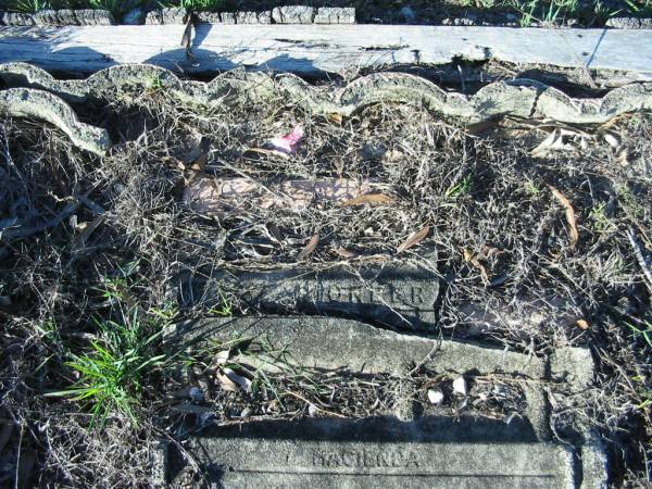 Tea Gardens cemetery, Great Lakes, New South Wales  | 