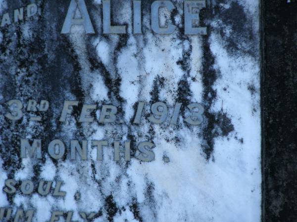 Jane,  | daughter of Francis Henry & Alice HOLBERT,  | born 28 Sept 1893,  | died 3 Feb 1913 aged 19 years 4 months;  | Tea Gardens cemetery, Great Lakes, New South Wales  | 