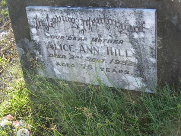 Alice Ann HILL,  | mother,  | died 2 Sept 1952 aged 75 years;  | Tea Gardens cemetery, Great Lakes, New South Wales  | 