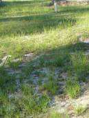Tea Gardens cemetery, Great Lakes, New South Wales
