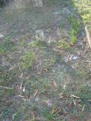 Tea Gardens cemetery, Great Lakes, New South Wales