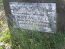 Alice Ann HILL,
mother,
died 2 Sept 1952 aged 75 years;
Tea Gardens cemetery, Great Lakes, New South Wales