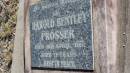 Harold Bentley PROSSER
d: 3 Apr 1991 aged 71
The Gums Cemetery