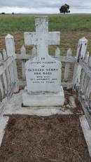 Bernard Henry VAN BAEL
d: 18 Jan 1938, aged 25
Theodore Pioneer Old Theodore Cemetery