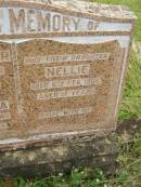 
David WAGNER,
died 21 May 1928 aged 69 years;
Wilhelmina,
wife,
died 22 Oct 1940 aged 76 years;
Nellie,
daughter,
died 6 Feb 1906 aged 17 years;
Tiaro cemetery, Fraser Coast Region
