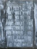 
Charles Tait CUNNINGHAM,
born 8 Jan 1854,
died 17 Oct 1938;
Annie CUNNINGHAM,
mother,
died 21 March 1929 aged 68 years;
Tiaro cemetery, Fraser Coast Region
