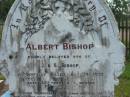 
Albert BISHOP,
son of J. & S. BISHOP,
accidentally killed 19 July 1900 aged 35 years 5 months;
John,
husband of Sarah BISHOP,
accidentally killed 17 May 1091 aged 67 years;
Sarah,
wife mother,
died 18 Feb 1905 aged 70 years;
Tiaro cemetery, Fraser Coast Region
