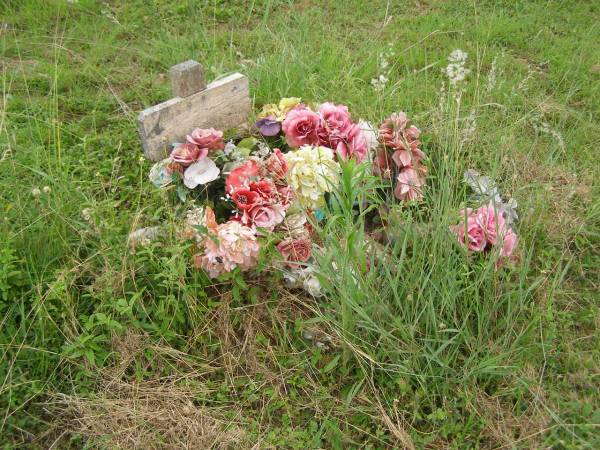 Tiaro cemetery, Fraser Coast Region  | 