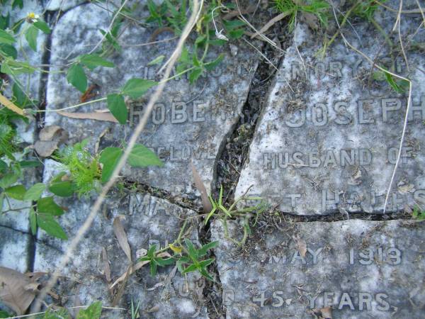 Robert Joseph,  | husband of Margaret HALES,  | died 5 May 1918 aged 45 years;  | Margaret HALES,  | died 4 Nov 1944 aged 82 years;  | Tiaro cemetery, Fraser Coast Region  | 