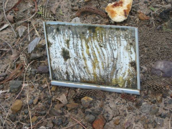 Valla? Robert COOPER  | born 15 ?? 1928,  | died 8-2-2000;  | Tiaro cemetery, Fraser Coast Region  | 