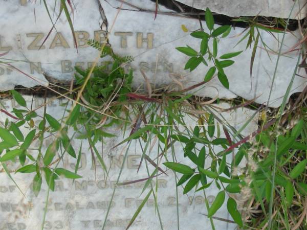 Elizabeth,  | wife of N. BERTELSEN,  | died Dec 1900? aged 32 years;  | Eliza Jane,  | wife of G.H. MCGREGOR,  | died New Zealand 2 Feb 1901 aged 33 years;  | daughters of Mary Jane OLSEN;  | Tiaro cemetery, Fraser Coast Region  | 