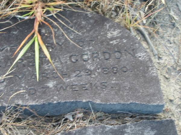 Margaret GORDON,  | died 29 March 1880 aged 7 weeks;  | Tiaro cemetery, Fraser Coast Region  | 