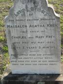 
Magdalen Agatha KREY
only child of Charles and Mary KREY
4 May 1920 aged 2 years 2 months
Toogoolawah Cemetery, Esk shire
