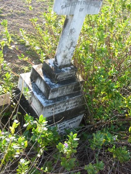 Mary Gertrude SEABORN  | 9 Nov 1935 aged 89  |   | (father) George  Wallington  MICHAEL  | 17 Apr 1937 aged 57  |   | Constance Violet MICHAEL  | 8 Sep 1963 aged 86  |   | George Wallington MICHAEL  | 1 Sep 1961 aged 45  |   | Toogoolawah Cemetery, Esk shire  |   |   | 