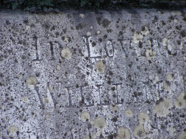 Toowong Cemetery por: 13, sect: 55, grave:4;  | Hobbs William, 09 / 12 / 1890;  | Bourne Emily, 24 / 01 / 1915;  | Hobbs Ann, 02 / 10 / 1875;  | Bourne Cicely Orton, 20 / 06 / 1908, 18 years;  | Hobbs Anna Luisa, 14 / 02 / 1914;  | Hobbs Edwin, 14 / 06 / 1929, 53 years;  | Bourne Clfred Edward, 26 / 07 / 1972, 0 years;  | Bourne Muriel Eleanor, 06 / 11 / 1964;  | Bourne Joseph Orton, 28 / 11 / 1931, 87 years;  |   | Edward HOBBS,  | d: Redcliffe 4 Jan 1875, aged 13yrs 9Mon;  | Alfred HOBBS,  | d: 30 Nov 1878, aged 19;  |   | Arthur HOBBS,  | d: 24 Feb 1926, aged 55;  |   | Edwin HOBBS,  | d: 13 Jun 1929, aged 53;  | Alice Mary Graham,  | d: 29 Jul 1944, aged 71;  |   | Anna Louisa HOBBS,  | d: 13 Feb 1914, aged 79;  |   | William HOBBS;  |   | Cicely Orton BOURNE,  | d: 19 Jun 1908, aged 18;  |   | Emily (BOURNE),  | wife of J O BOURNE,  | d: 23 Jan 1815, aged 56;  |   | Joseph Orton BOURNE,  | d: 27 Nov 1931 aged 87;  | Joseph William (Jack) BOURNE,  | d: San Francisco 7 Sep 1934, aged 36;  | Muriel Eleanor BOURNE,  | d: 9 Feb 1962, aged 76;  | 