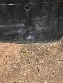 Edna Nicholson
d: 10 Sep 1960
George Nicholson
d: 16 Jul 1968
Toowong General Cemetery