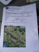 Toowong Cemetery Por 12, Sec: 42, Grave 3940
(no memorial found remaining)
John Symons AVERY, bur 18-Oct-1921
Elizabeth Livingstone AVERY, bur 13 Aug 1918