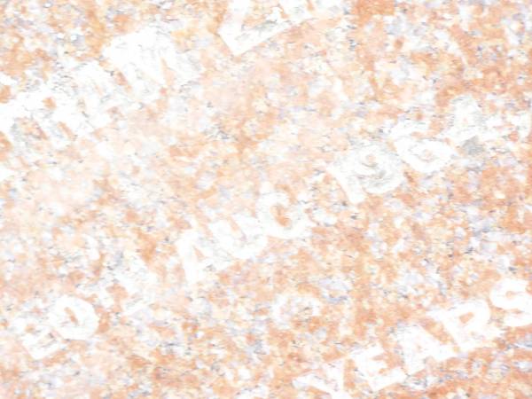 Charles Bertram ZILLMAN,  | died 20 Aug 1964 aged 86 years;  | Upper Caboolture Uniting (Methodist) cemetery, Caboolture Shire  | 