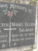 John Walter SIGANTO,
died 22-3-1977 aged 71 years;
Mabel Ellen SIGANTO,
died 26-12-1992 aged 82 years;
Upper Coomera cemetery, City of Gold Coast