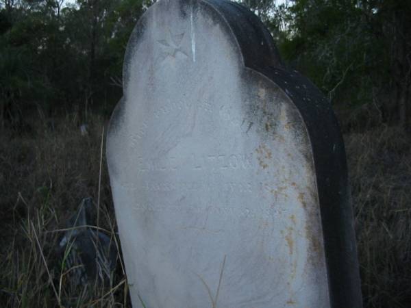 Emilie LITZOW  | 16 Juli 1861  | 30 January 1897  | Vernor German Baptist Cemetery, Esk Shire  | 