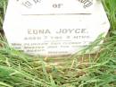
Edna Joyce,
aged 7 years 9 months;
Warra cemetery, Wambo Shire

