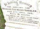 
Richard Rayond RAEDLER,
son,
died 27 April 1910 aged 4 12 months;
Warra cemetery, Wambo Shire
