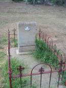 
Evelyn,
daugher of J. & A. MCMAHON,
died 26 May 1911 aged 4 years 8 months;
Warra cemetery, Wambo Shire
