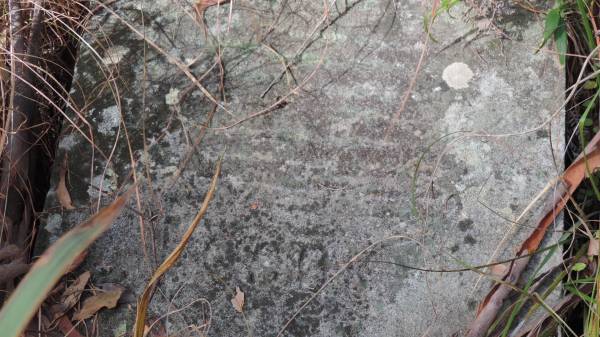   | Willsons Downfall cemetery,Tenterfield, NSW  |   | 