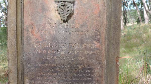 William PALMER  | d: 1 Sep 1882 aged 43  |   | grandson  | Roy HOSKING  | d: 7 Aug 1900 aged 12 mo  |   | Willsons Downfall cemetery,Tenterfield, NSW  |   | 