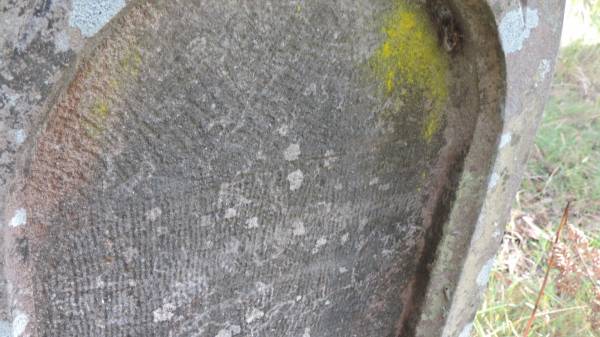   | Willsons Downfall cemetery,Tenterfield, NSW  |   | 