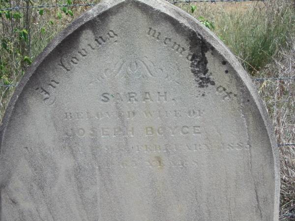 Sarah (wife of) Joseph BOYCE  | 9 Feb 1883, aged 63  |   | Joseph BOYCE  | b: 1827 -  | d: 24 May 1886, aged 59  |   | Wivenhoe Pocket General Cemetery  |   | 