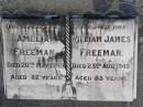 
Amelia Freeman
20 May 1949, aged 82
William James Freeman
23 Aug 1945, aged 83
Woodhill cemetery (Veresdale), Beaudesert shire

