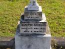 
Jeanette Harrison
d: 17 May 1932, aged 8 months
Woodhill cemetery (Veresdale), Beaudesert shire

