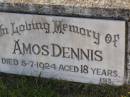 
Amos Dennis
5 Jul 1924,aged 18
Woodhill cemetery (Veresdale), Beaudesert shire

